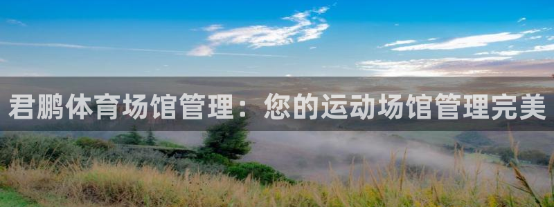 必一体育在线玩：君鹏