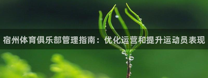 氵必一一厂一：宿州体