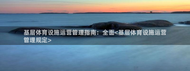 必一体育sport：