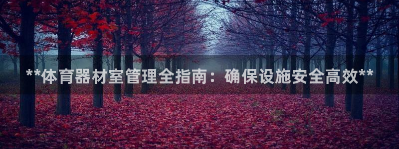 必一体育app官方正