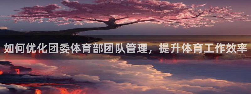 必一体育怎么下载：如何优化团委体育部团队管理，提升体育工作效