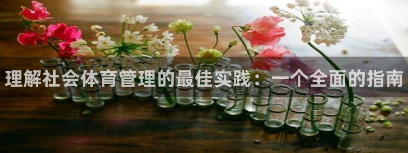 必一运动 b 体育素