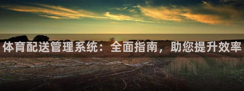 必一体育登录：体育配