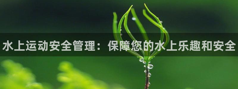 必一运动体育app：水上运动安全管理：保障您的水上乐趣和安全