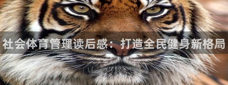 必一体育app下载最