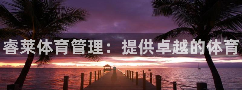 必一体育在线登录：睿