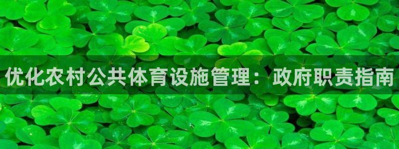 必一体育app官方正版下载：优化农村公共体育设施管理：政府职