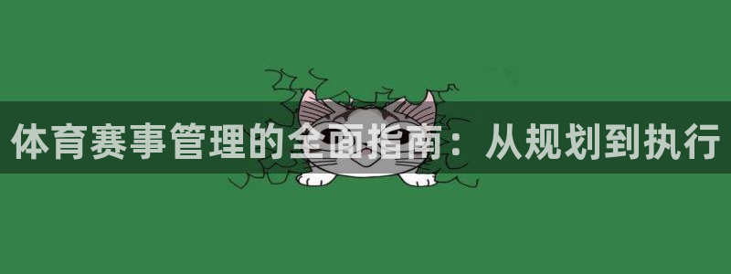 必一体育下载义：体育赛事管理的全面指南：从规划到执行