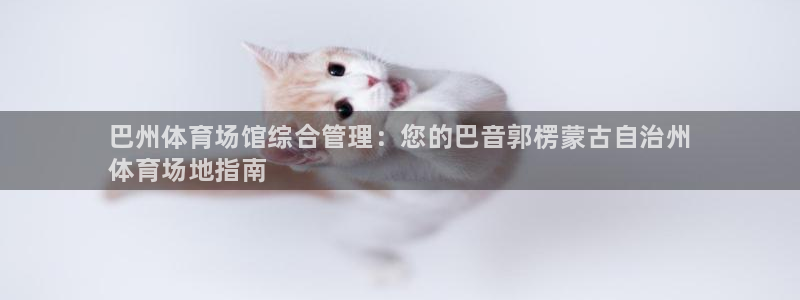 必一体育是啥：巴州体育场馆综合管理：您的巴音郭楞蒙古自治州
