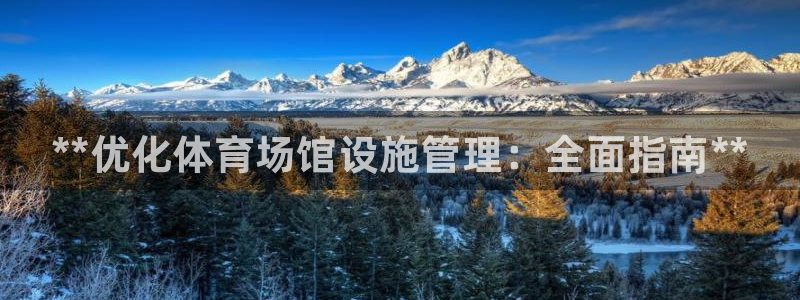 必一体育在线入口：**优化体育场馆设施管理：全面指南**